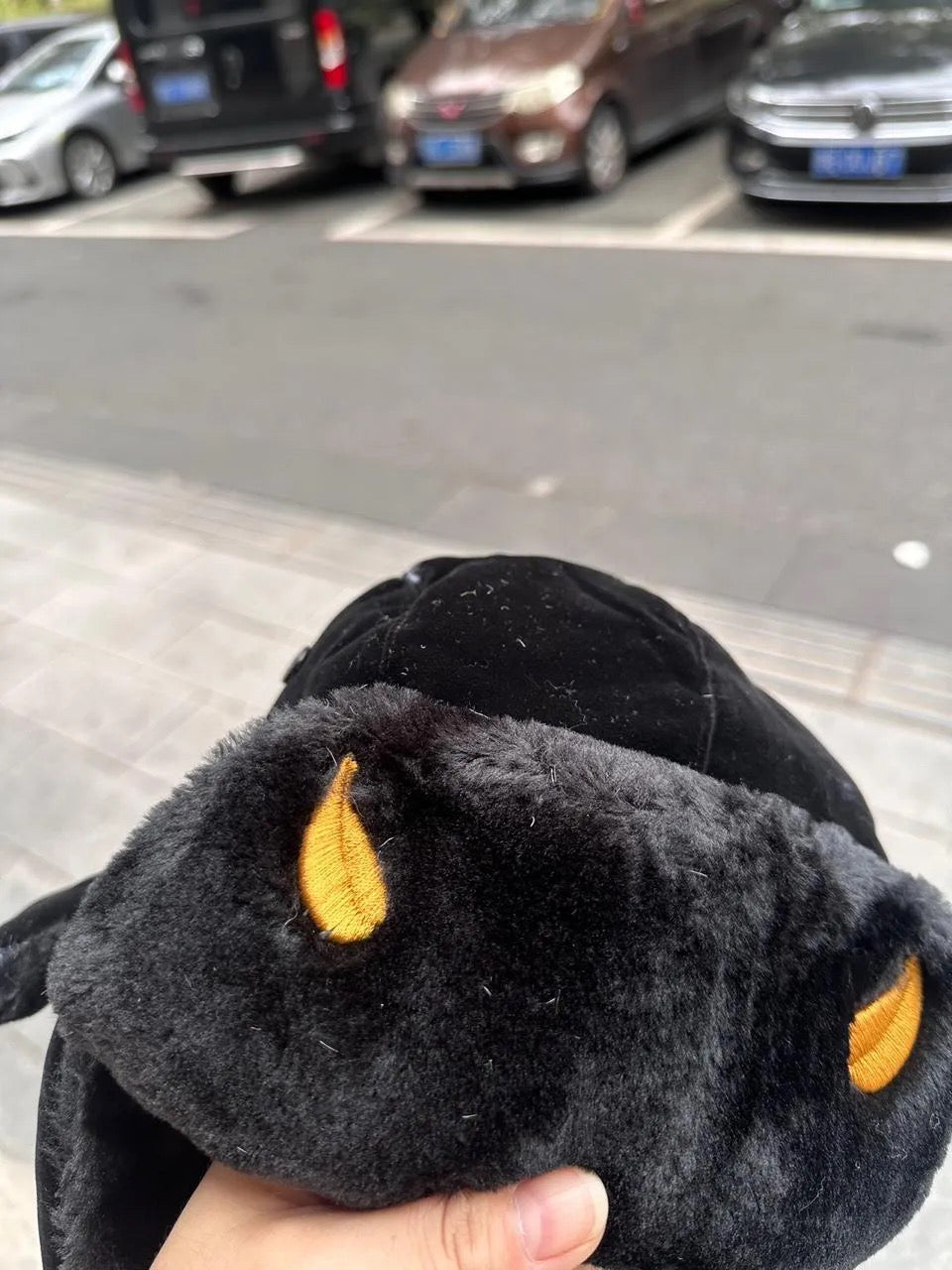 WEATHER EMBROIDERED USHANKA HAT