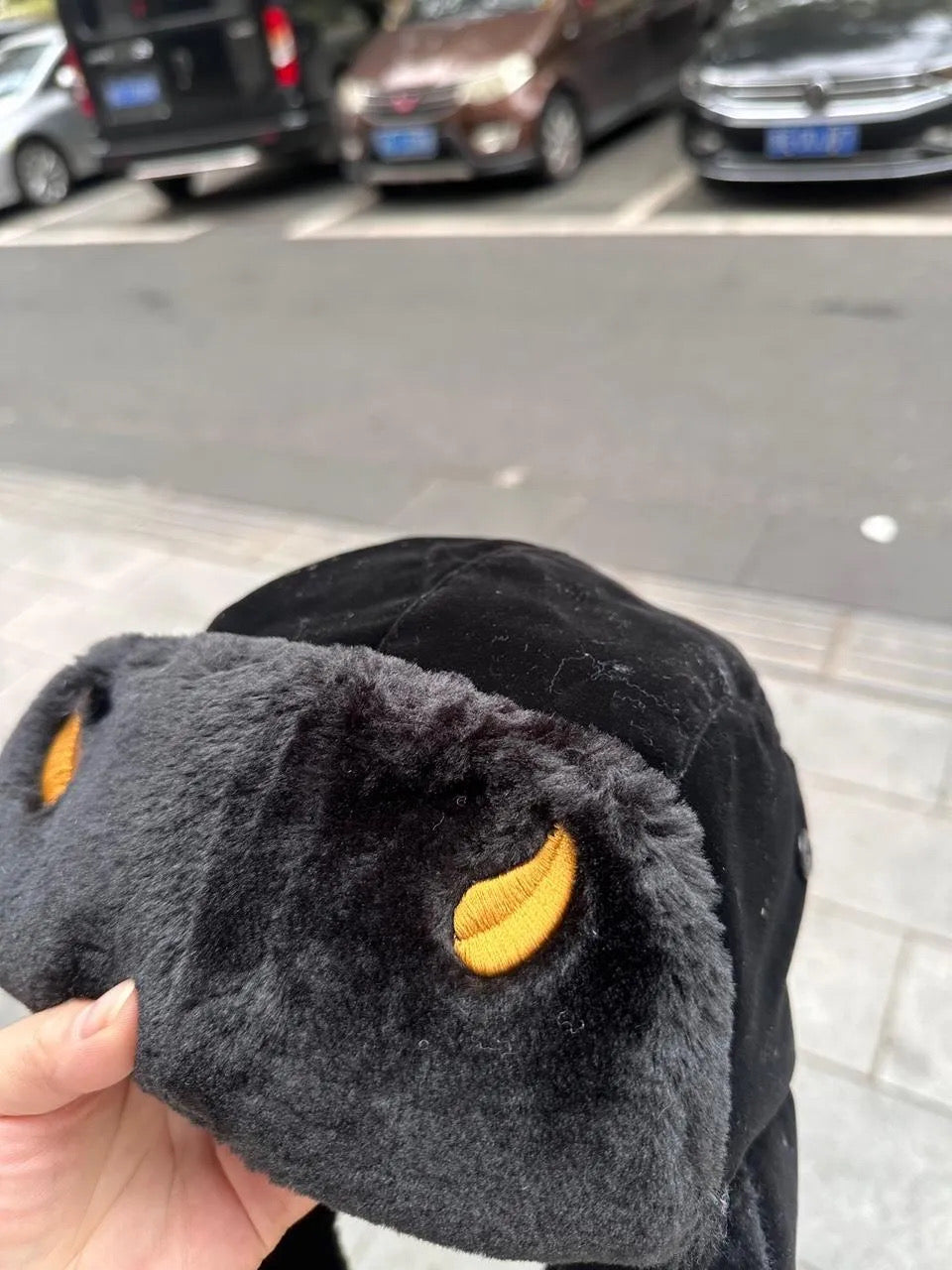 WEATHER EMBROIDERED USHANKA HAT