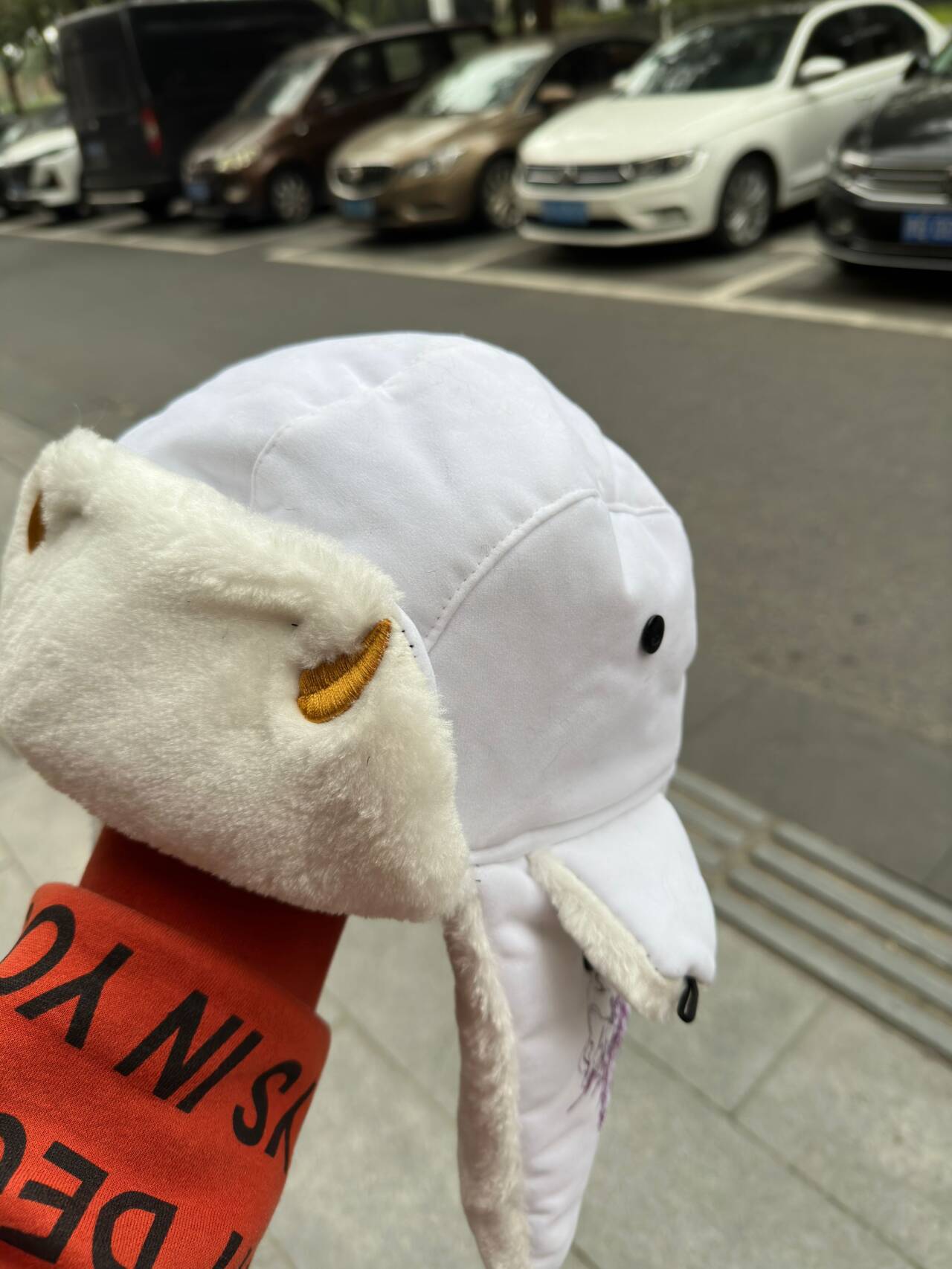 WEATHER EMBROIDERED USHANKA HAT